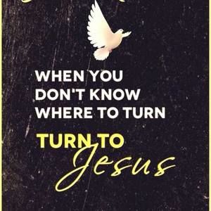 Meet your Posher, Trisha